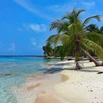 Karibik Kreuzfahrt Aida Angebot